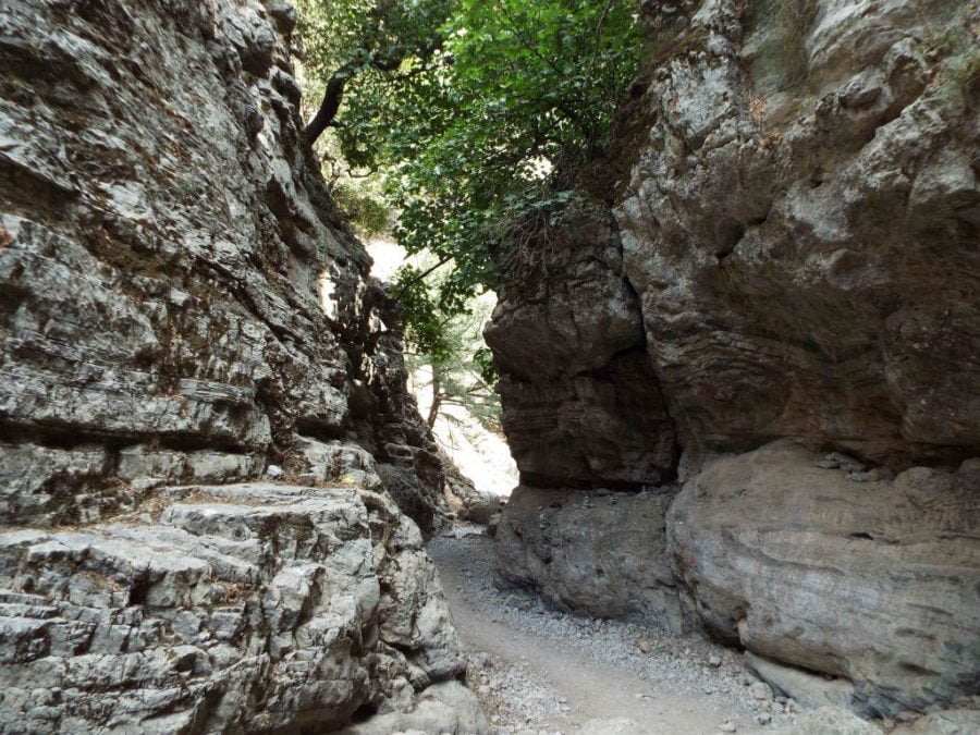 Excursion dans les gorges d'Imbros au départ de La Canée (Crète)