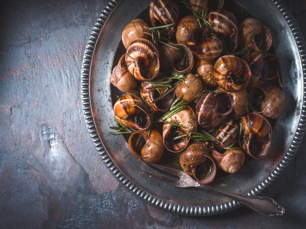 snails hohlioi boubouristoi