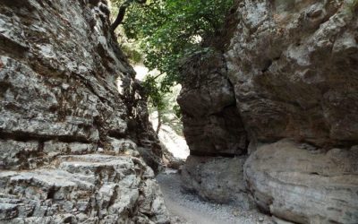 Imbros gorge tour from Chania Crete